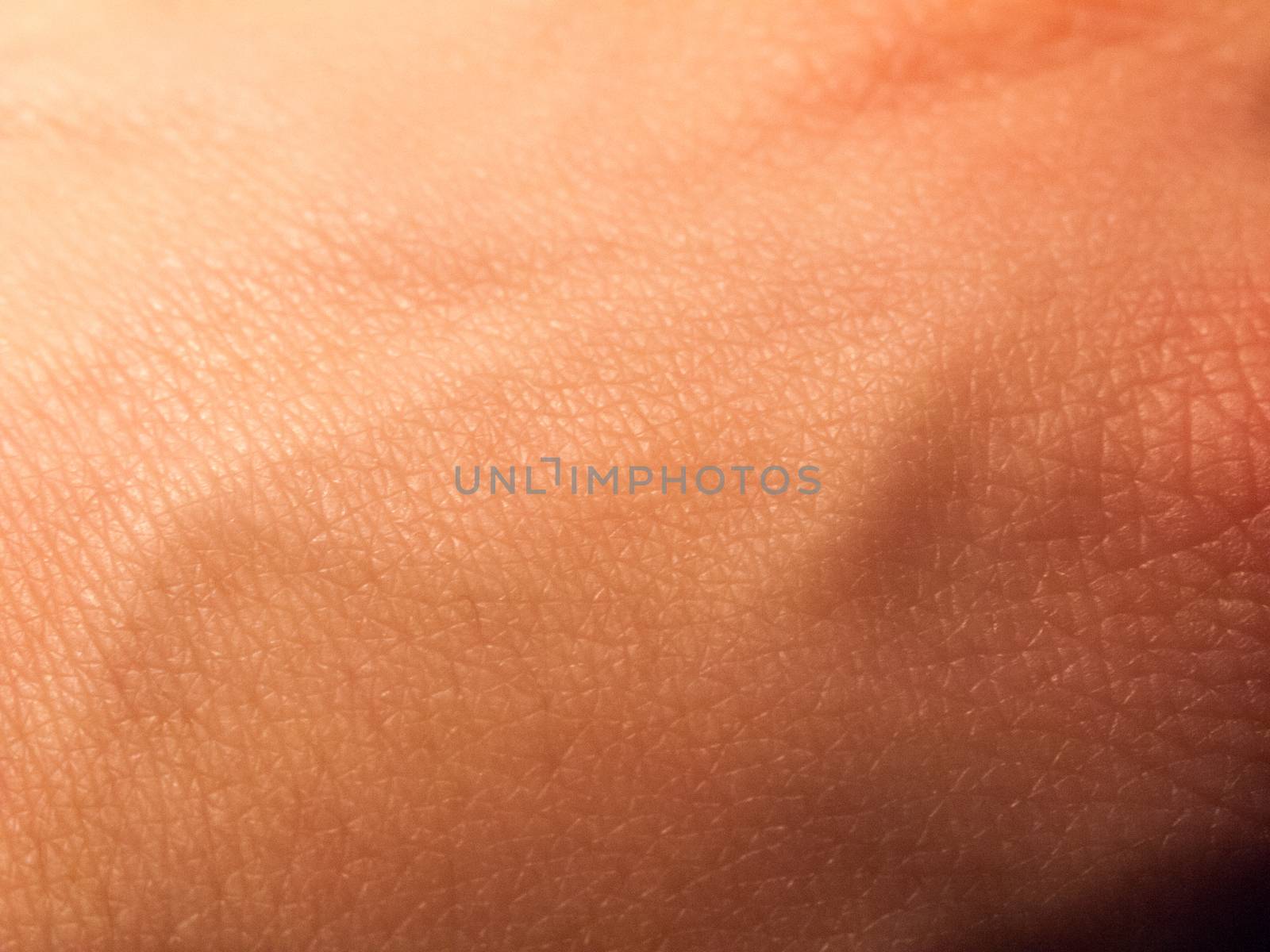 close up of pale white skin texture hand; essex; england; uk