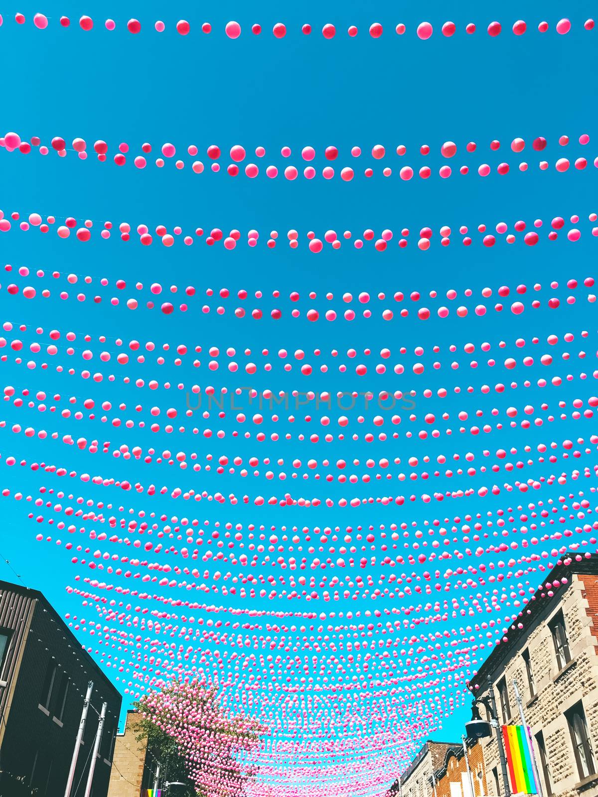 Joyful street in gay neighborhood decorated with pink balloons. Annual summer installation in gay village on Ste-Catherine street, Montreal (Quebec, Canada).
