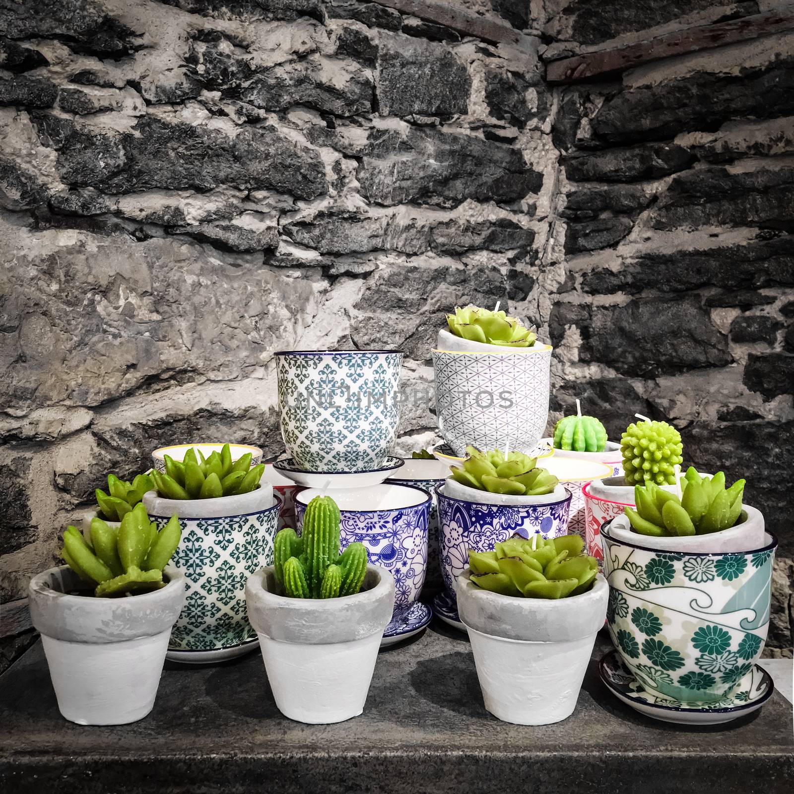 Potted succulent plants on stone background. Artificial plants and candles.