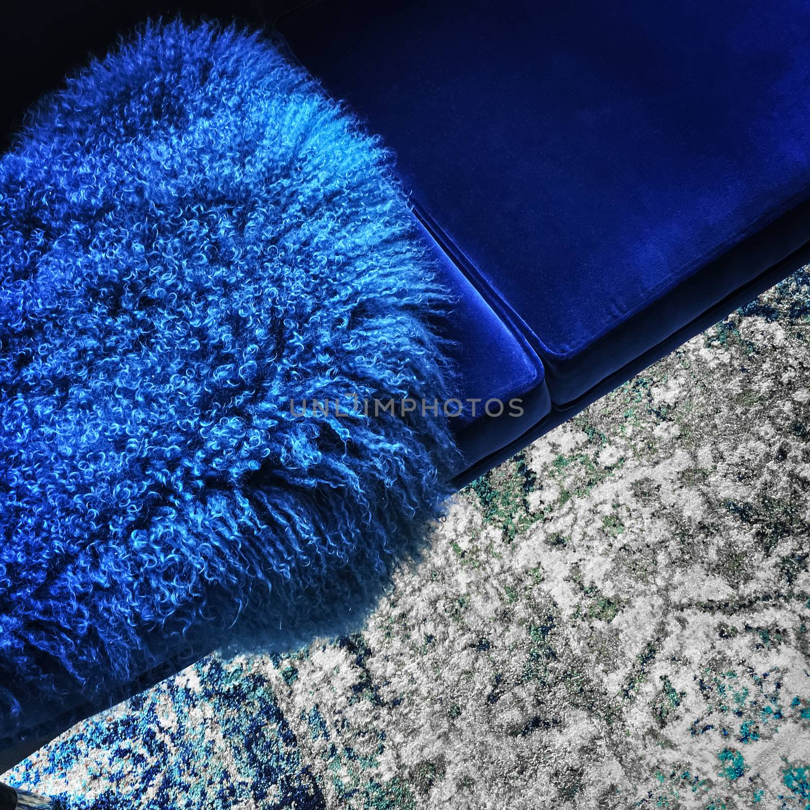 Blue colored sheep skin decorating a luxurious velvet sofa.