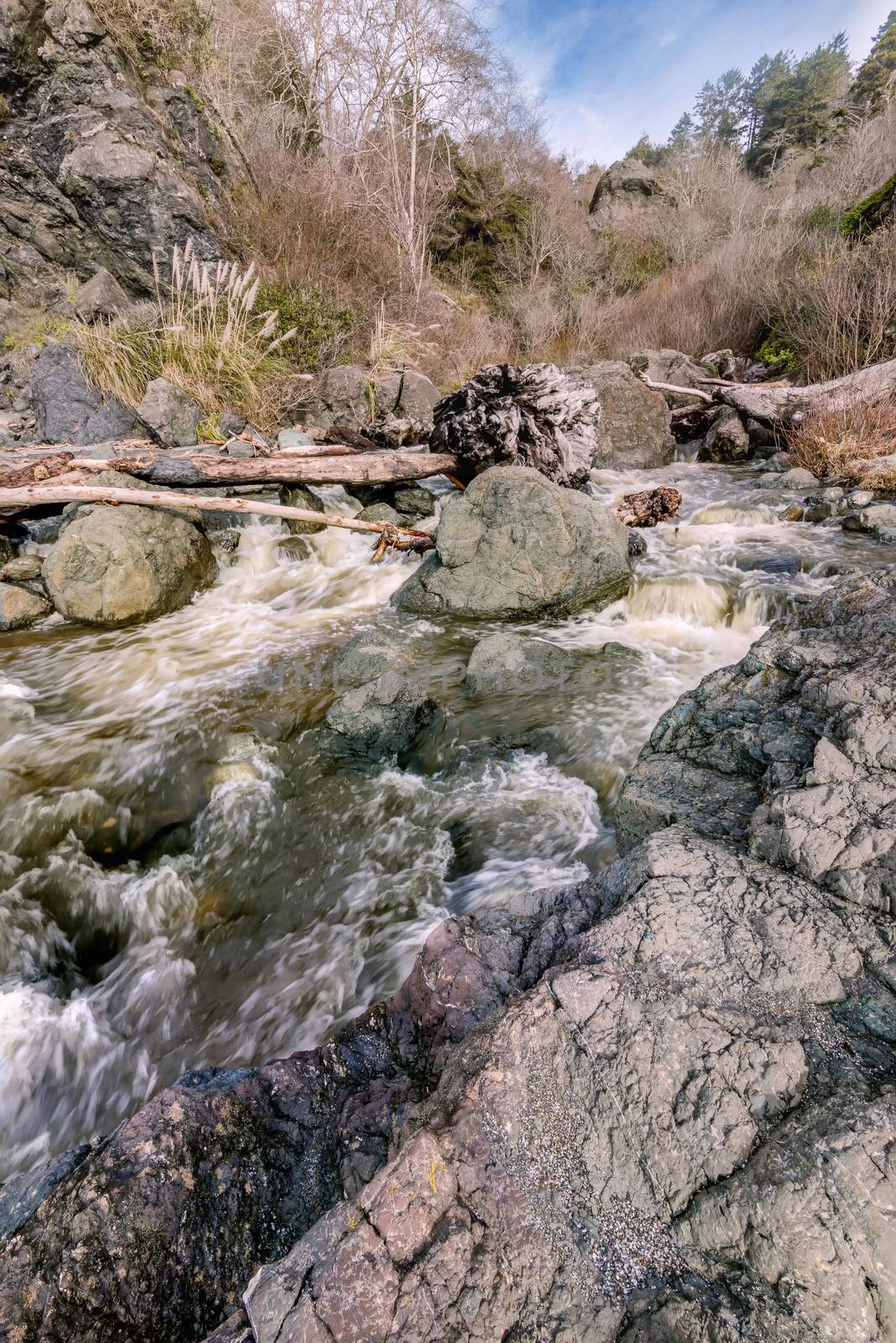 A Small River in Northern California by backyard_photography