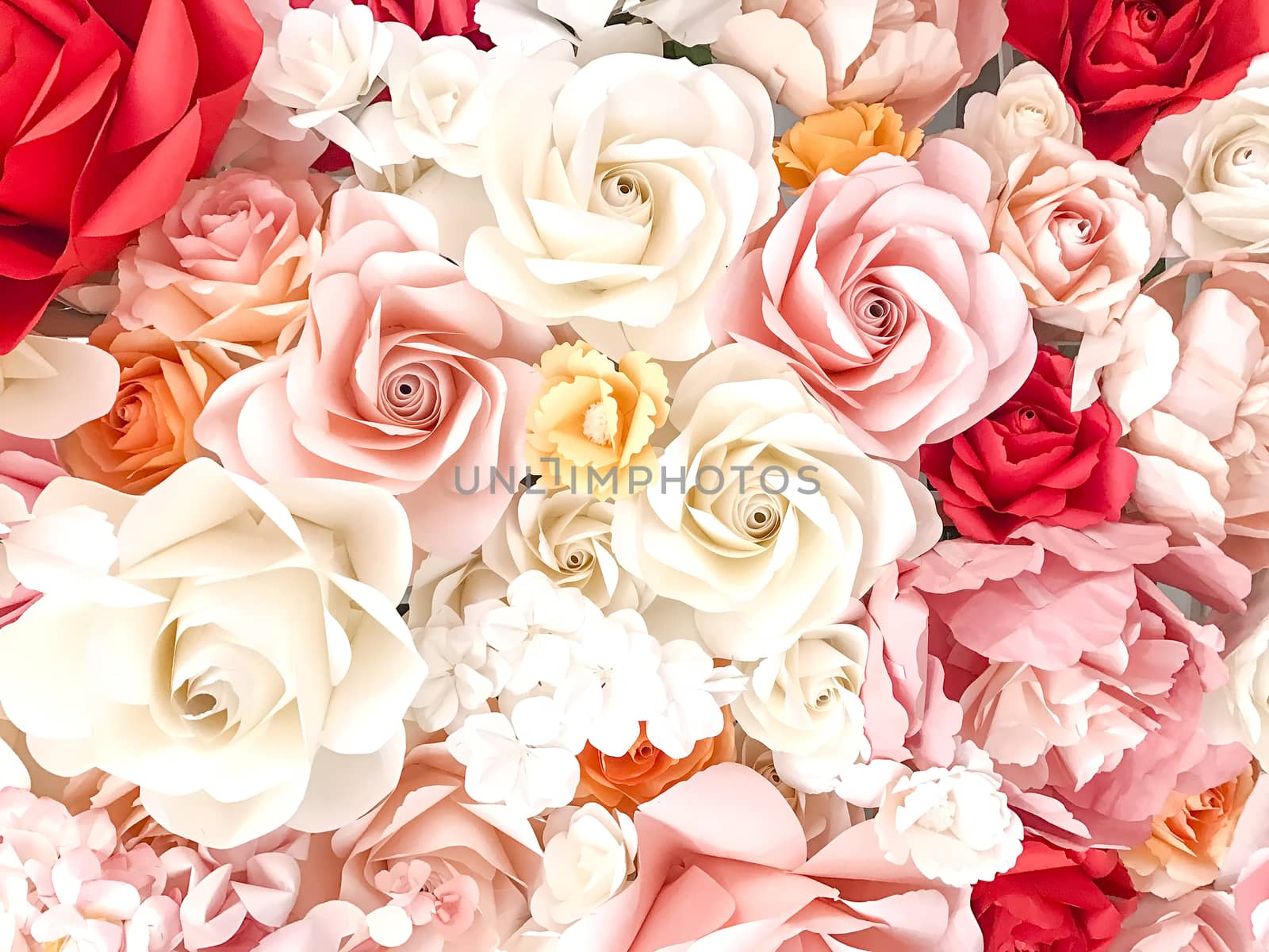 Roses background for valentine's day