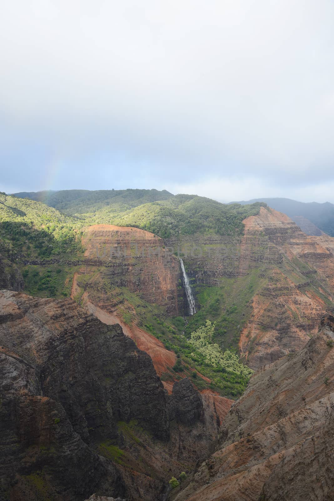 waimea canyon in kauai, hawaii