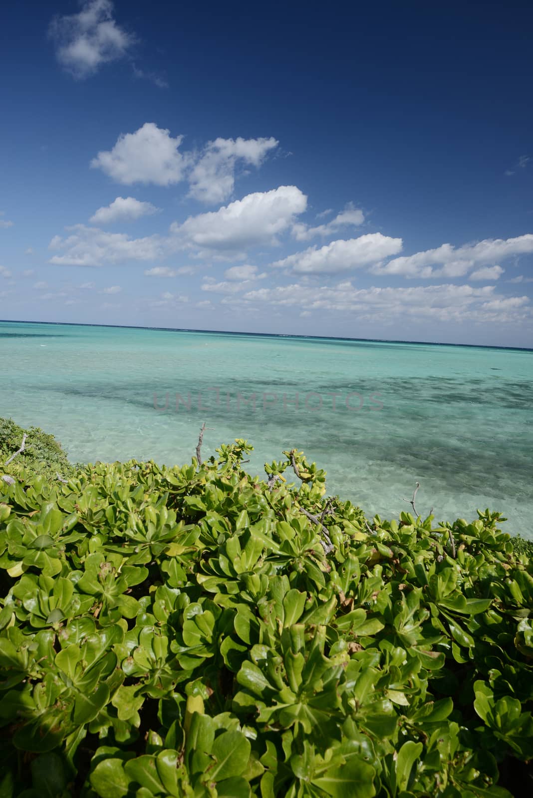 Beach near Ikema Island in Miyakojima, Okinawa