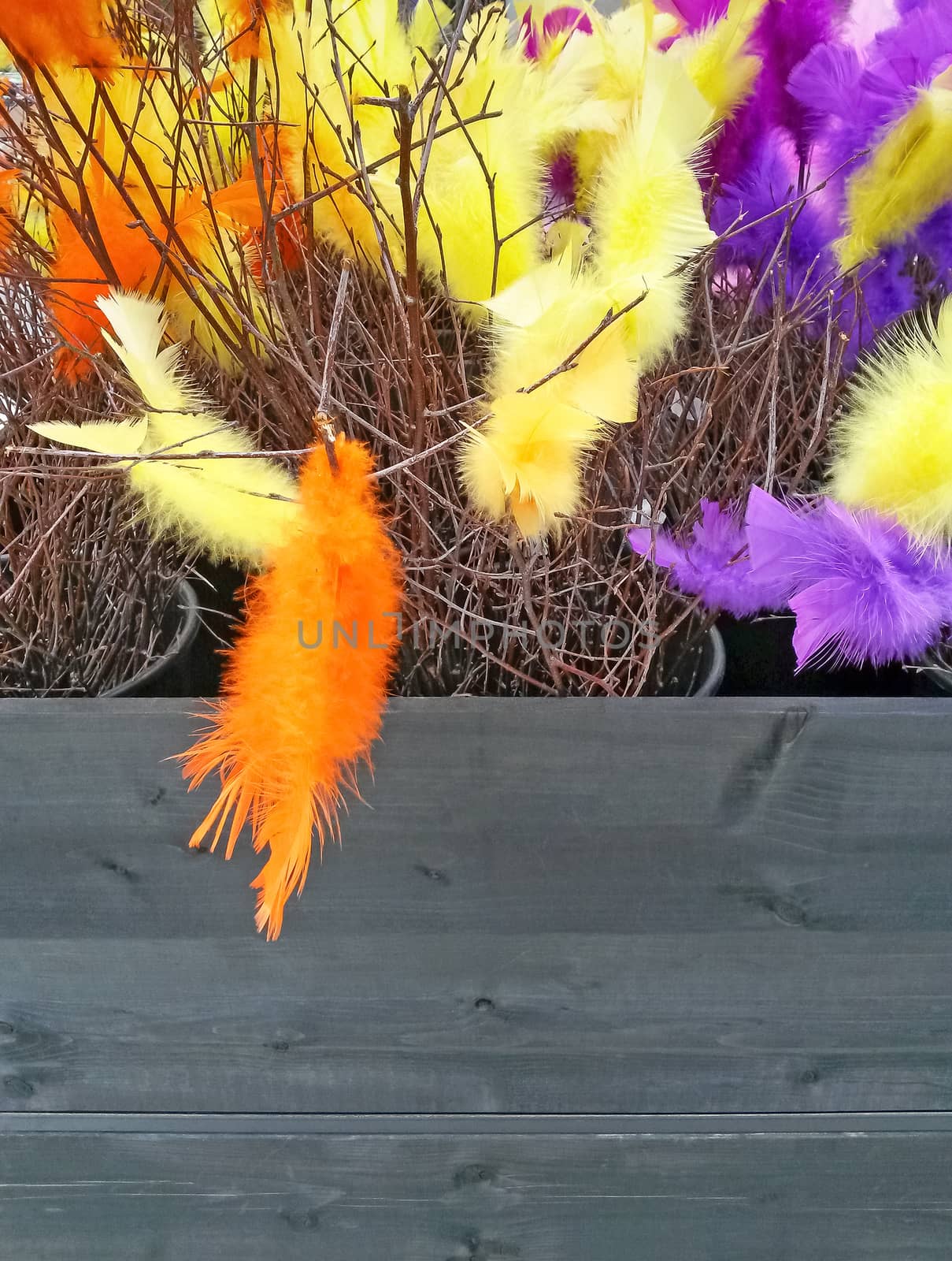 Easter decoration. Birch branches decorated with colorful feathers.