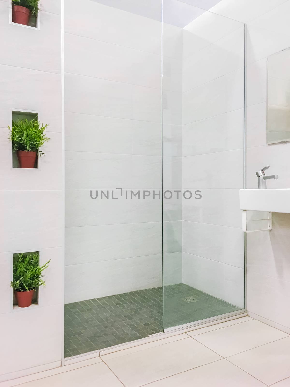 Modern renovated shower with ceramic floor and plant decorations.