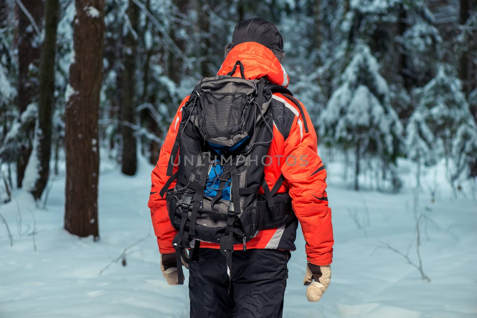 view from the back of a tourist on a hike in the winter forest