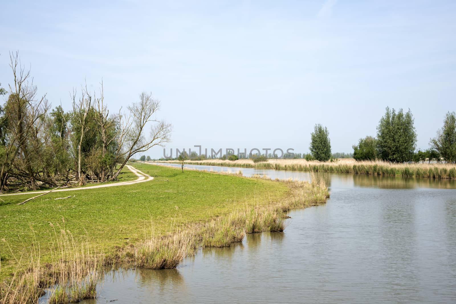  the nature park the oostvaardersplassen in holland by compuinfoto