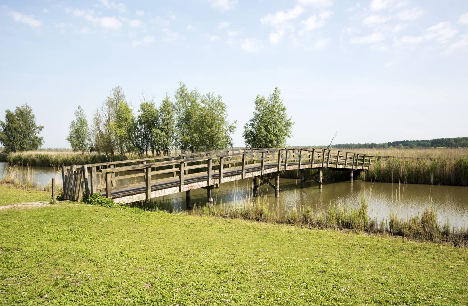 bridge and lake in the nature park the oostvaardersplassen in holland