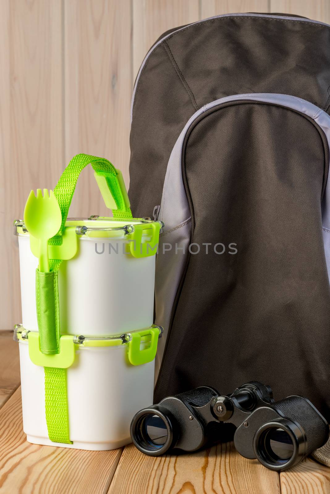 objects for a picnic in nature - backpack, binoculars and food containers