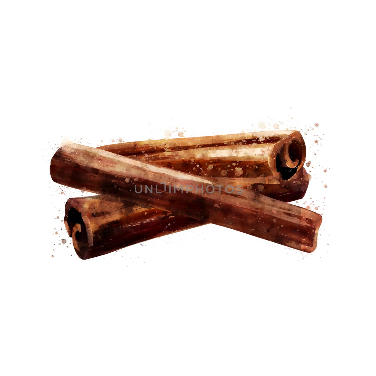 Cinnamon, isolated hand-painted illustration on a white background