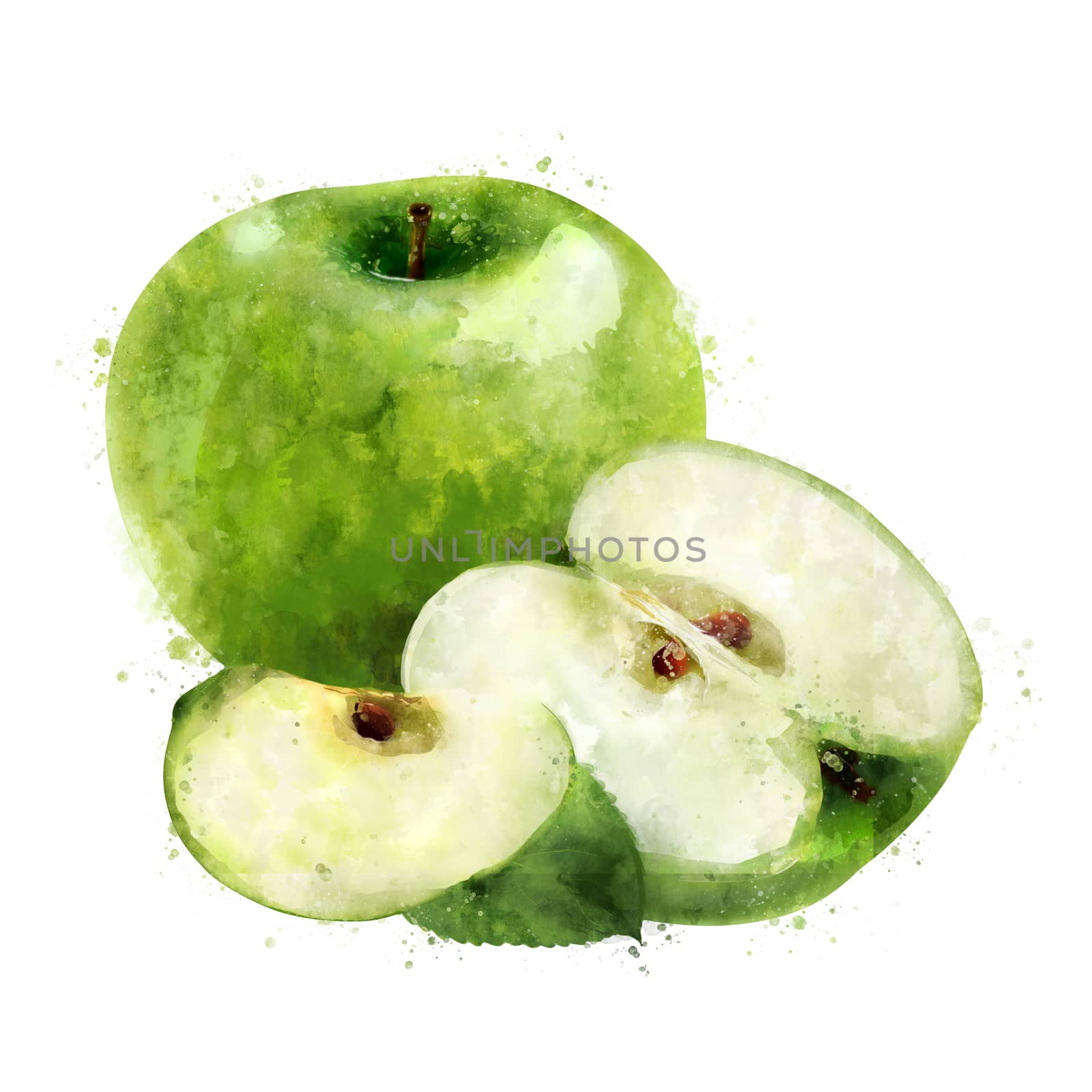 Green Apple, isolated hand-painted illustration on a white background