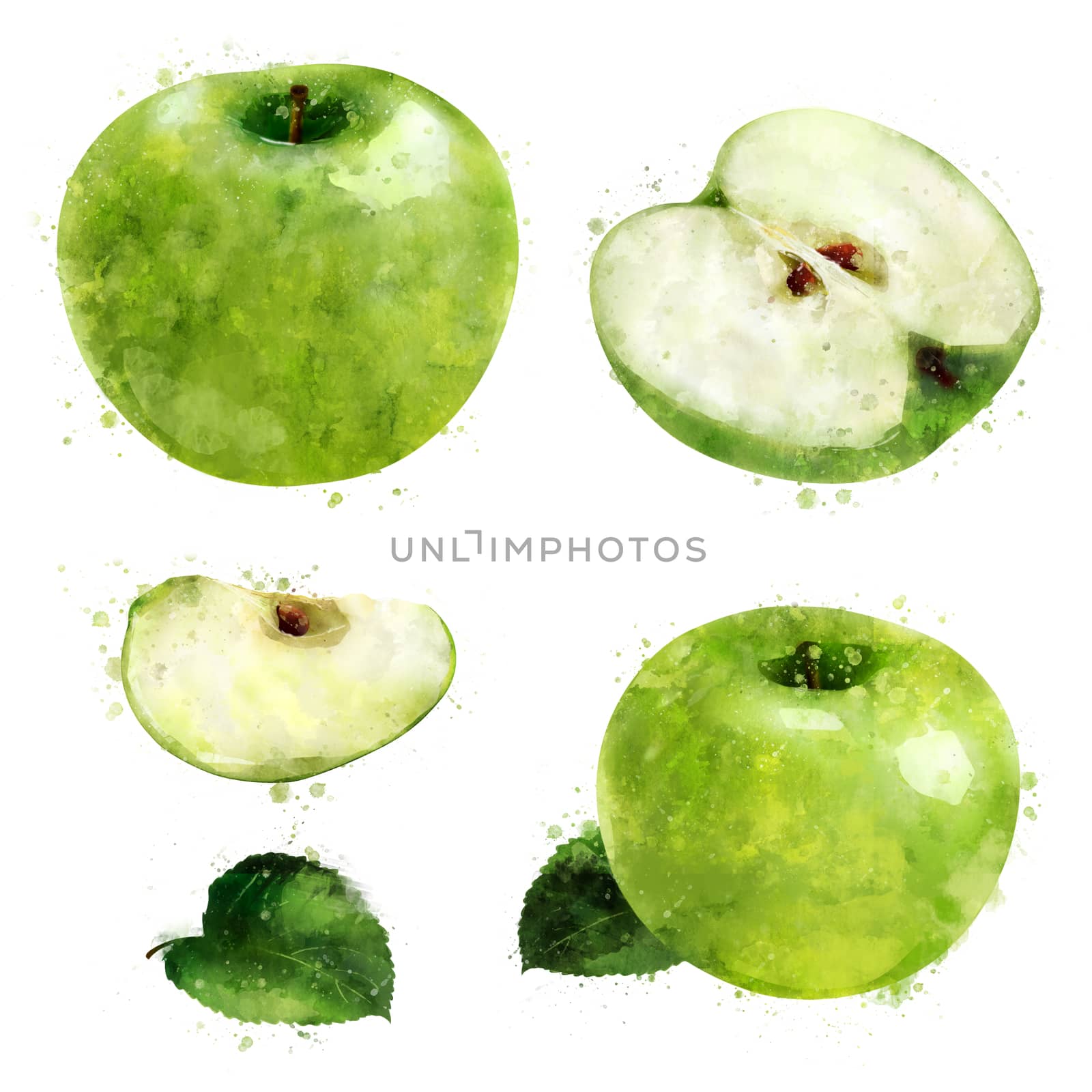 Green Apple on white background. Watercolor illustration by ConceptCafe