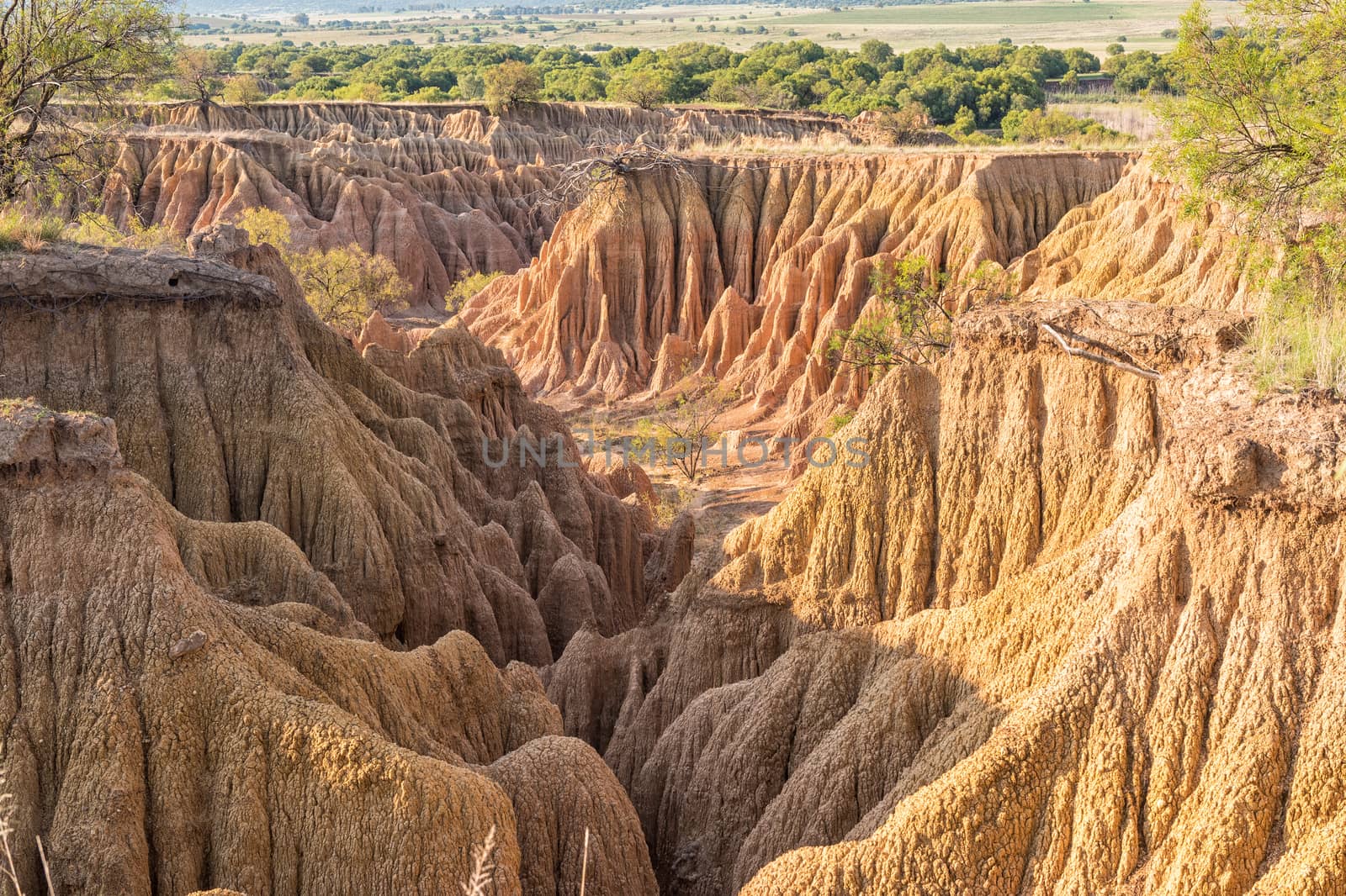 An erosion canyon at the Koranna Mountain near Excelsior in the Free State Province of South Africa