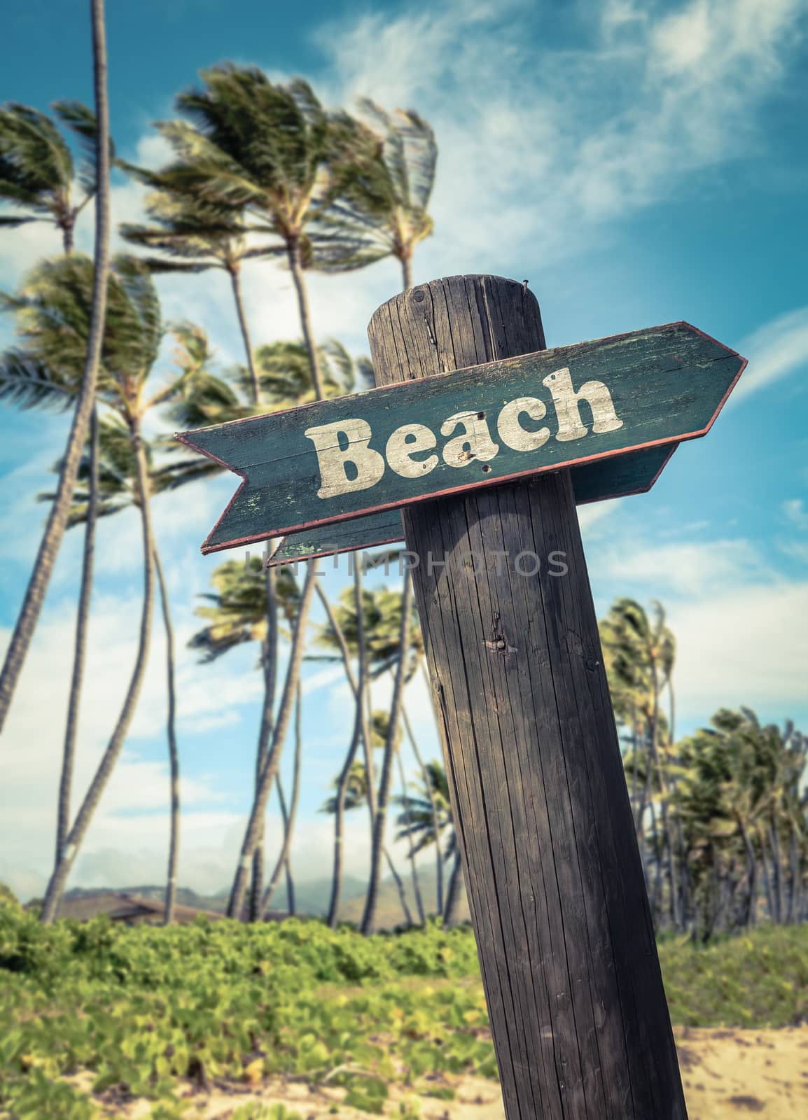 Retro Filtered Rustic Sign On A Windswept Beach With Palm Trees In Hawaii