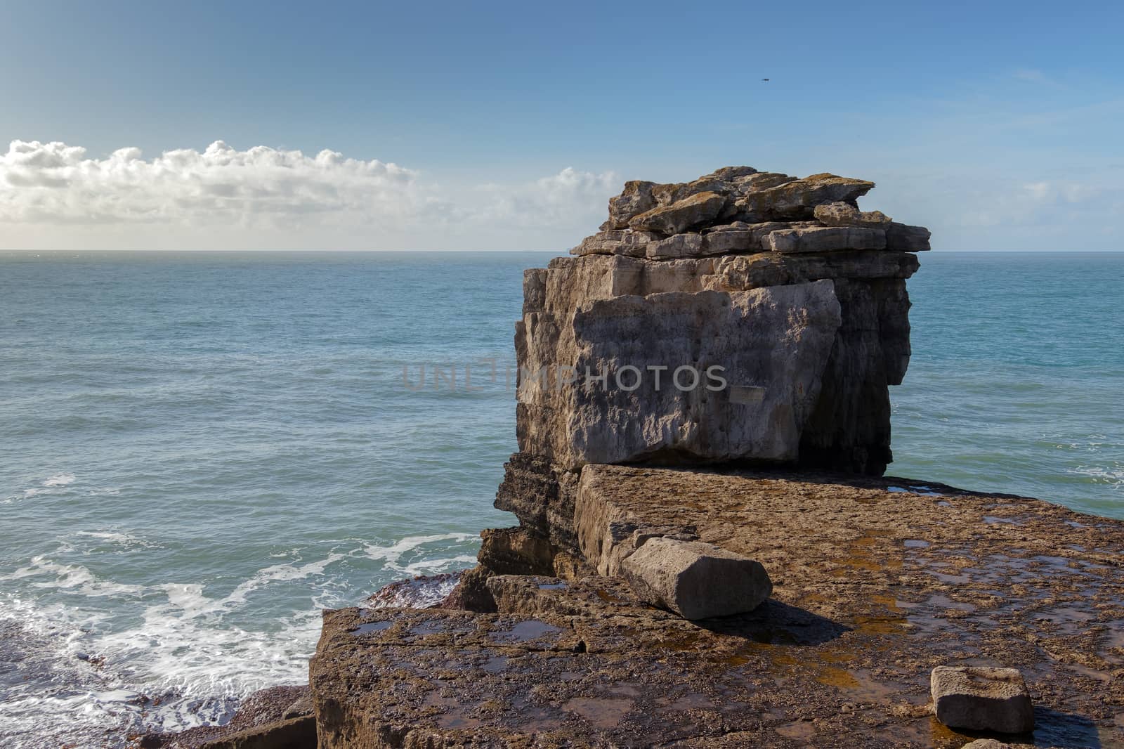 View of the Jurassic Coastline in Dorset by phil_bird