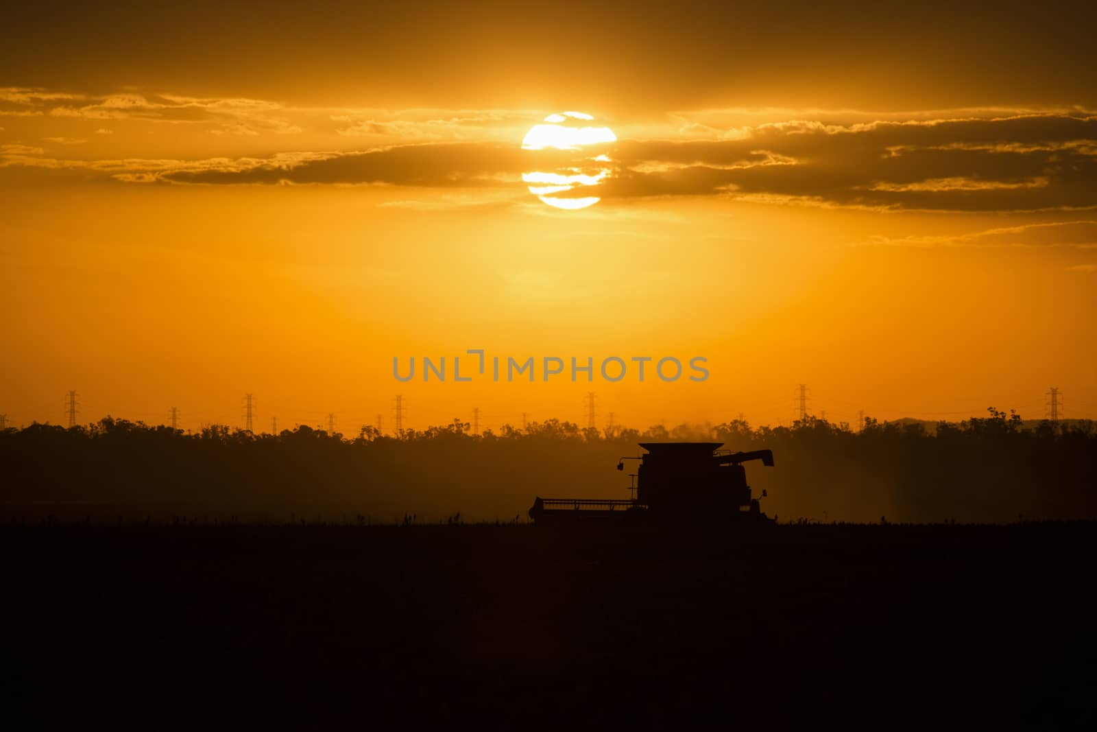 Agriculture machine harvesting crop in the field.