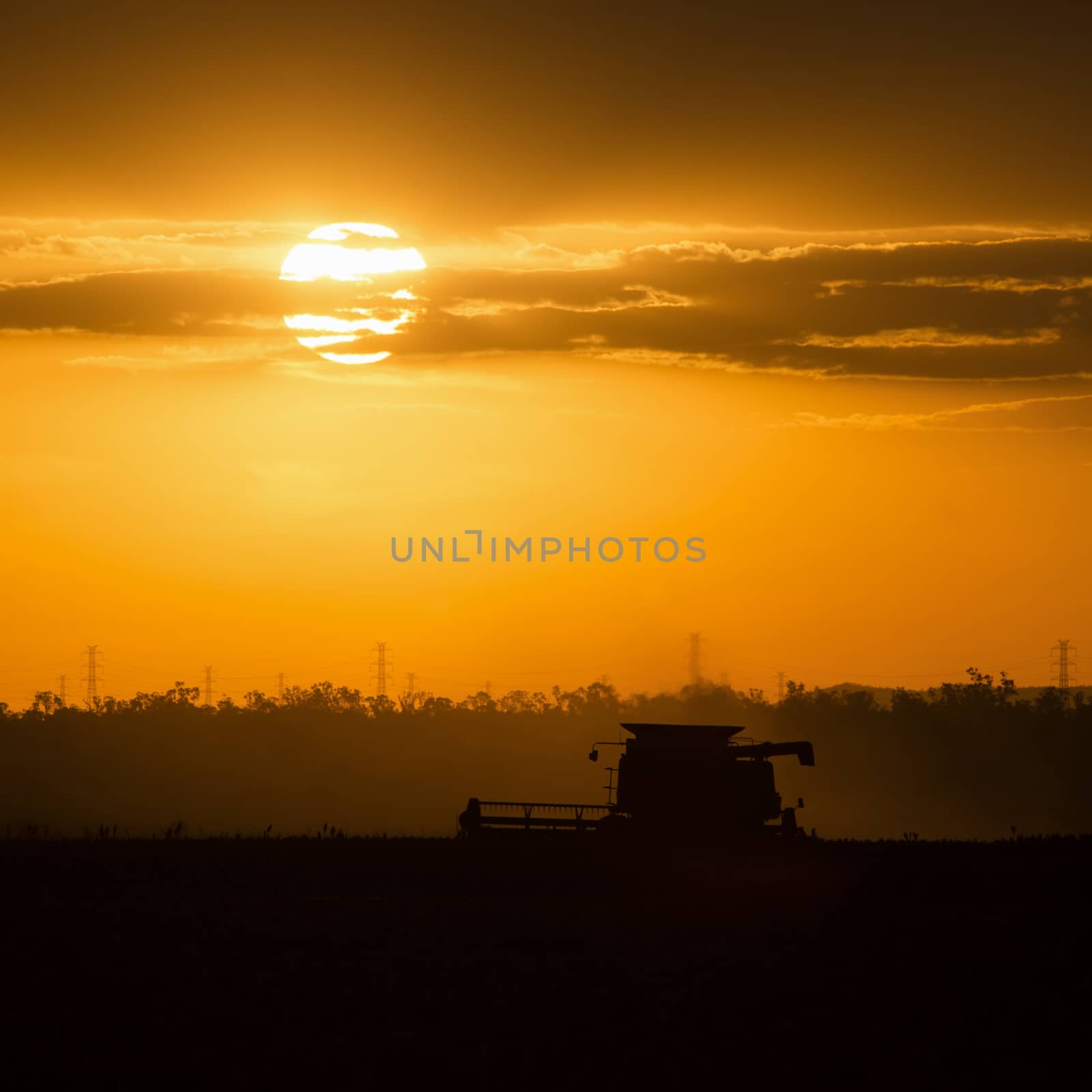 Agriculture machine harvesting field. by artistrobd