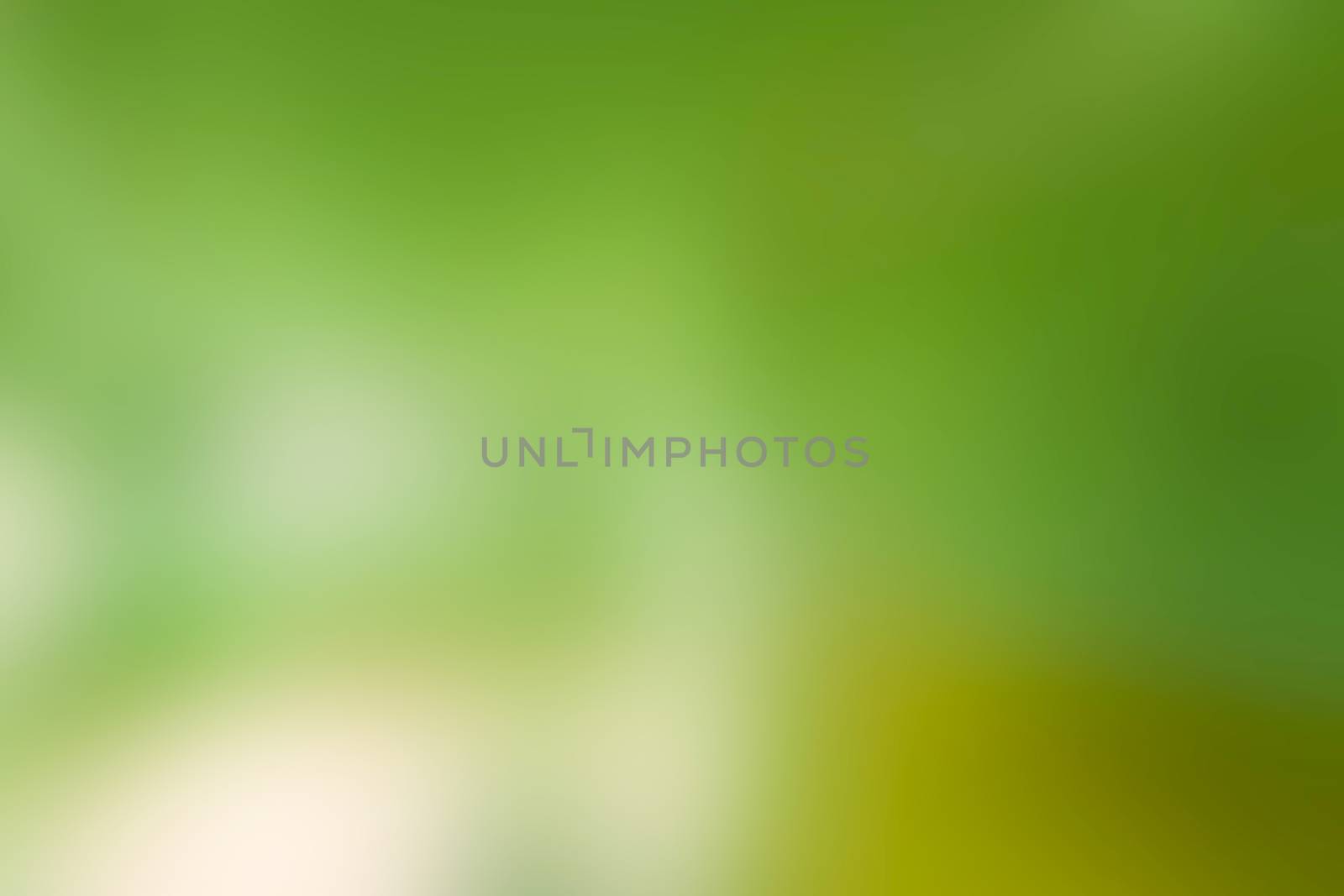 Abstract green soft blurred background. Canvas for any project