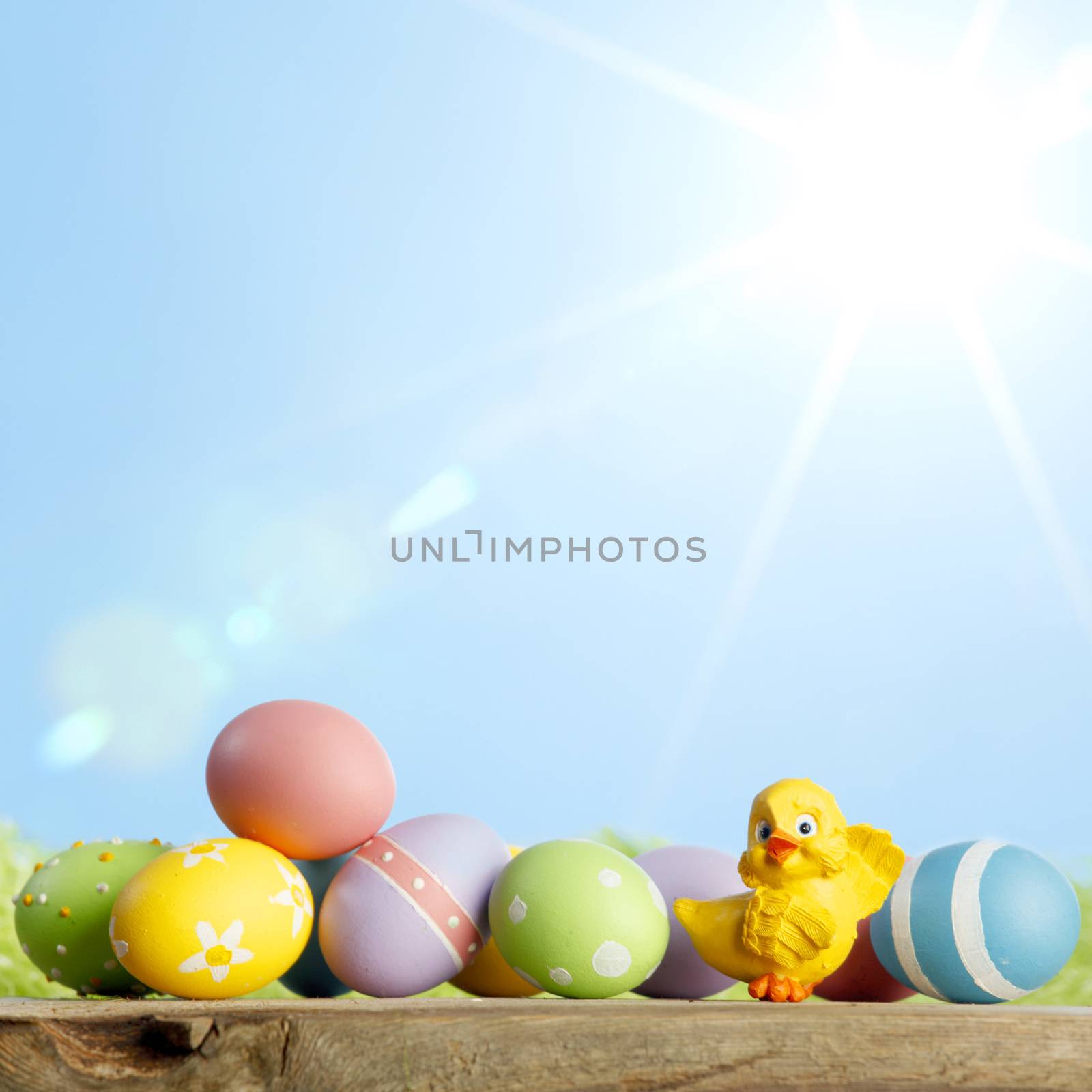 Easter composition with eggs and chicks on green meadow