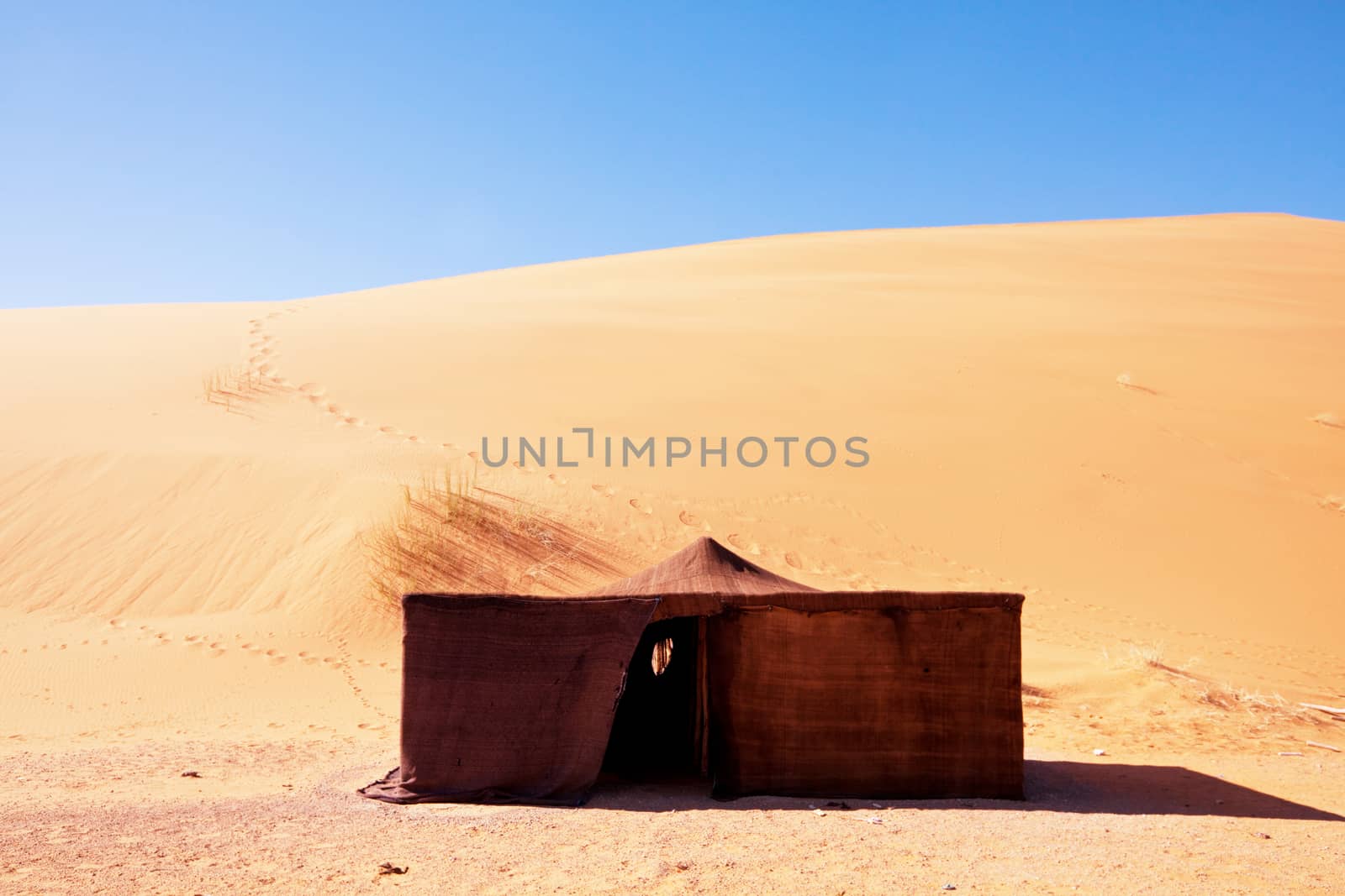 Camp in the desert by kamchatka
