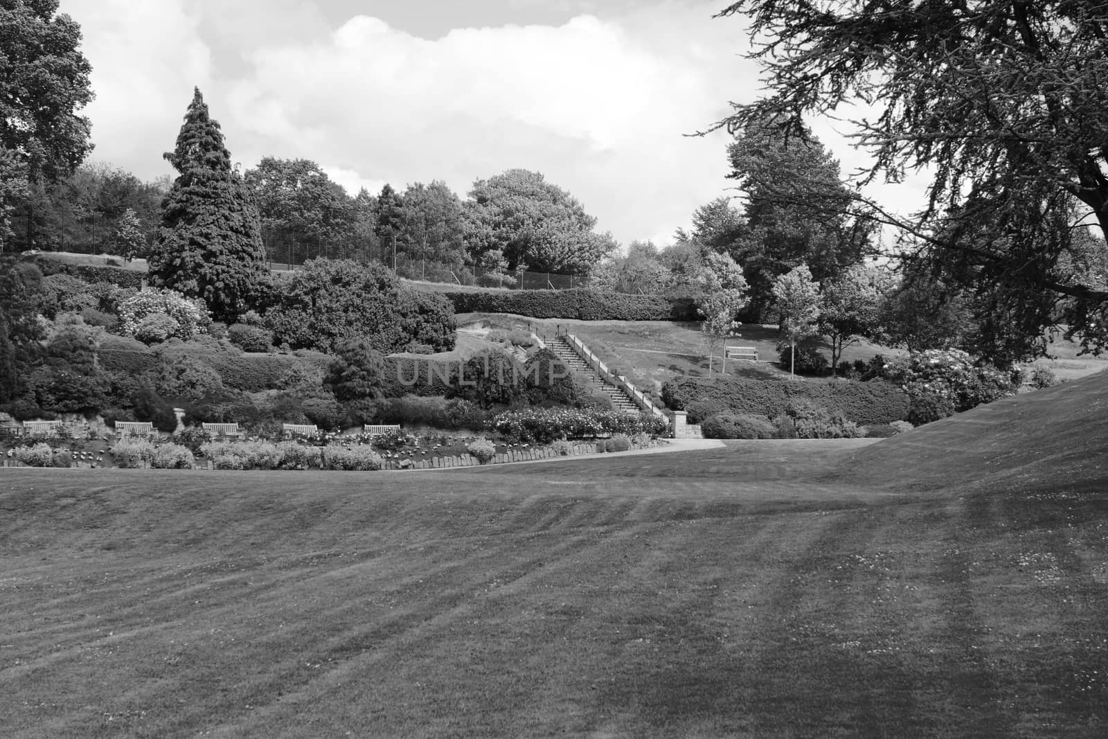 Calverley Grounds public park in Tunbridge Wells with ornamental gardens and diverse trees and bushes - monochrome processing