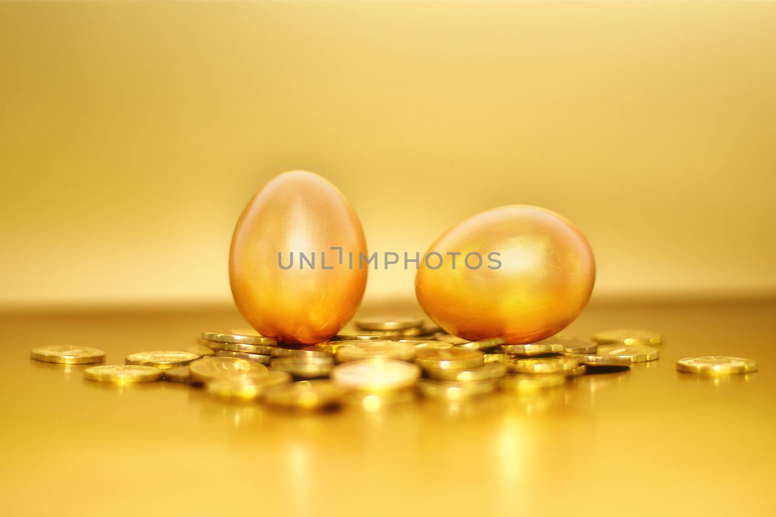 Gold coins and golden eggs, the concept of financial growth.