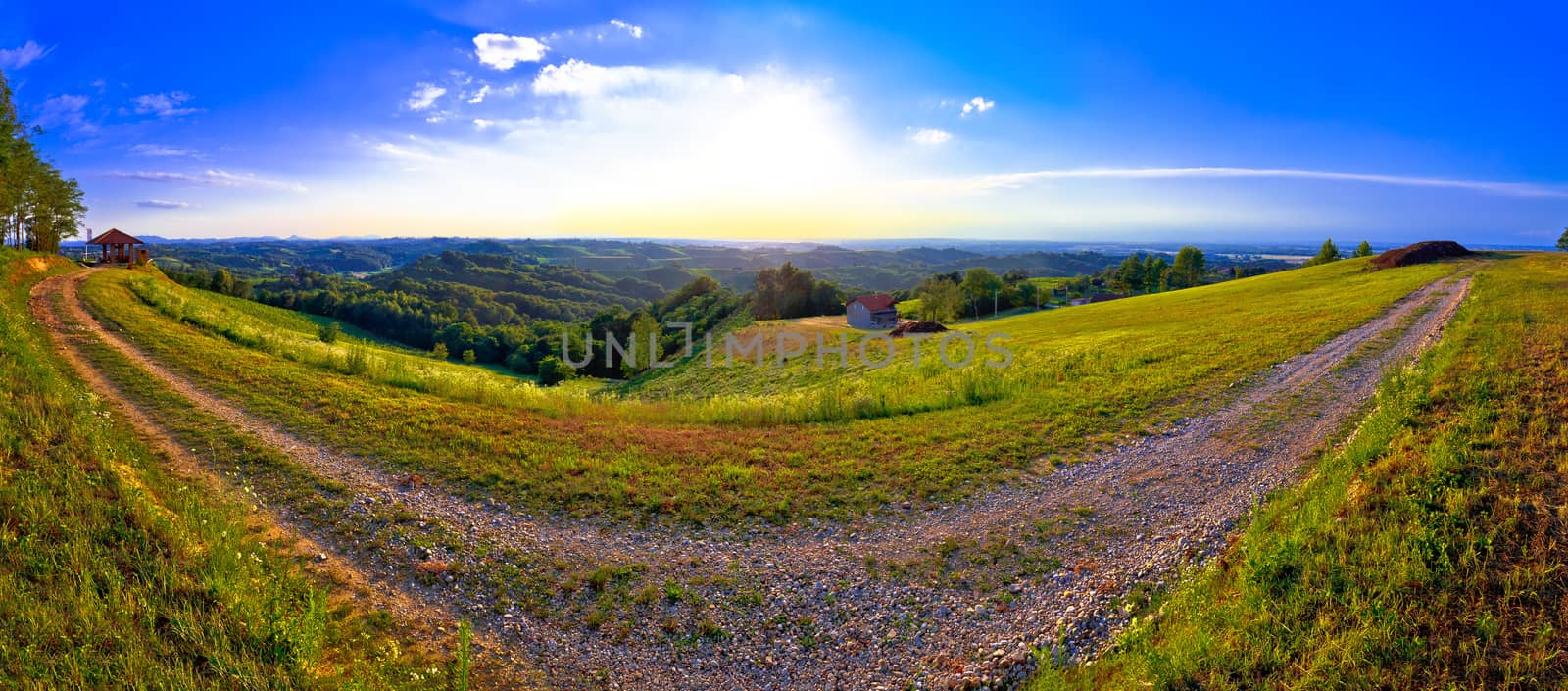 Green landscape of Medjimurje region panoramic view from hill, northern Croatia