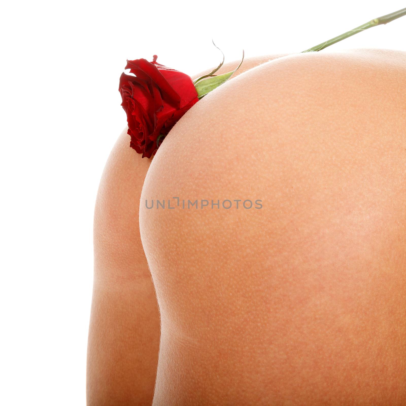 Red rose flower on a female butt, isolated on white background by Nobilior
