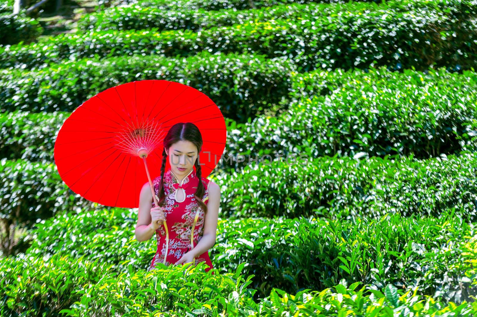 Asian woman wearing traditional Chinese dress and red umbrella in green tea field.