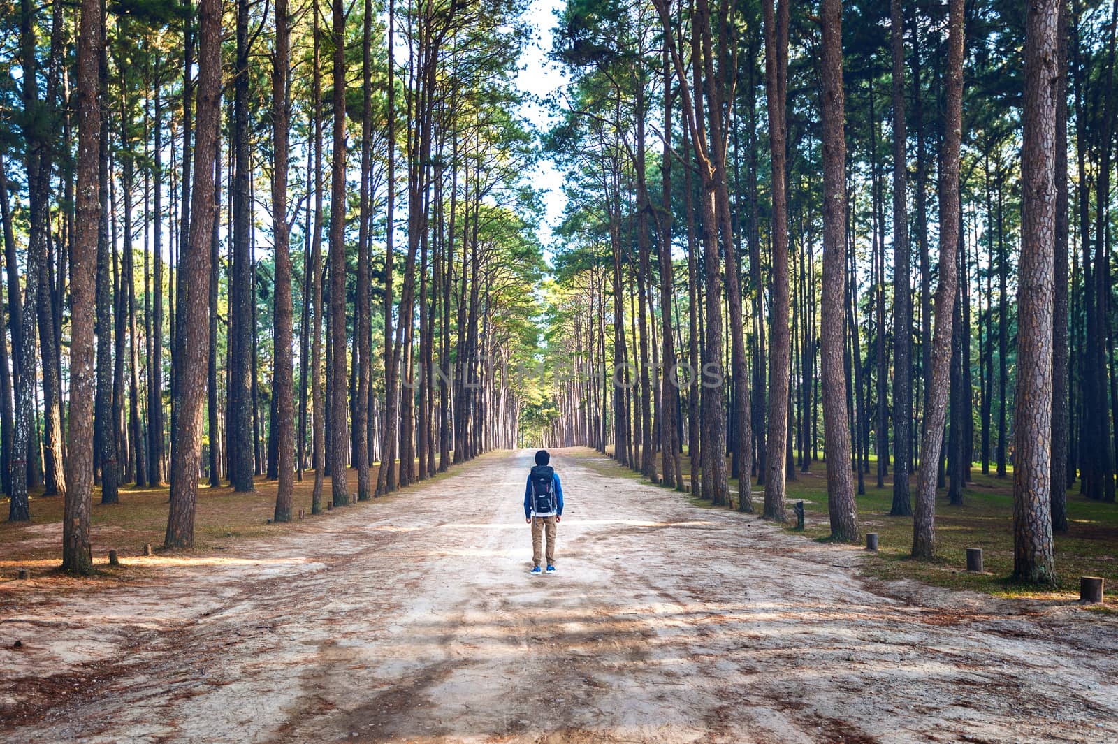 hiking man with backpack walking in forest.