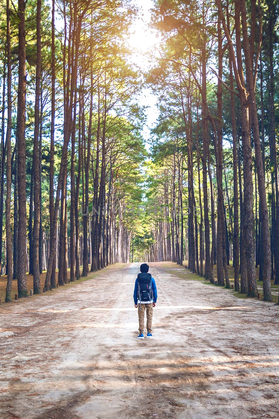 hiking man with backpack walking in forest. by gutarphotoghaphy