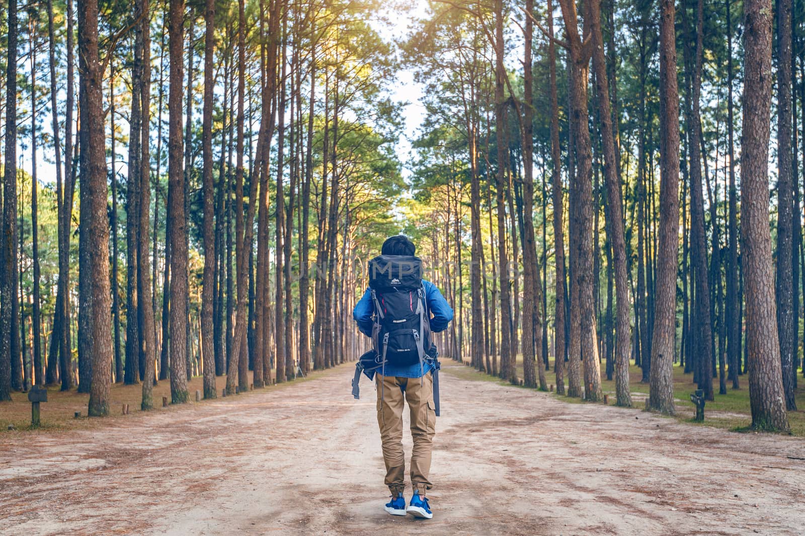 hiking man with backpack walking in forest. by gutarphotoghaphy