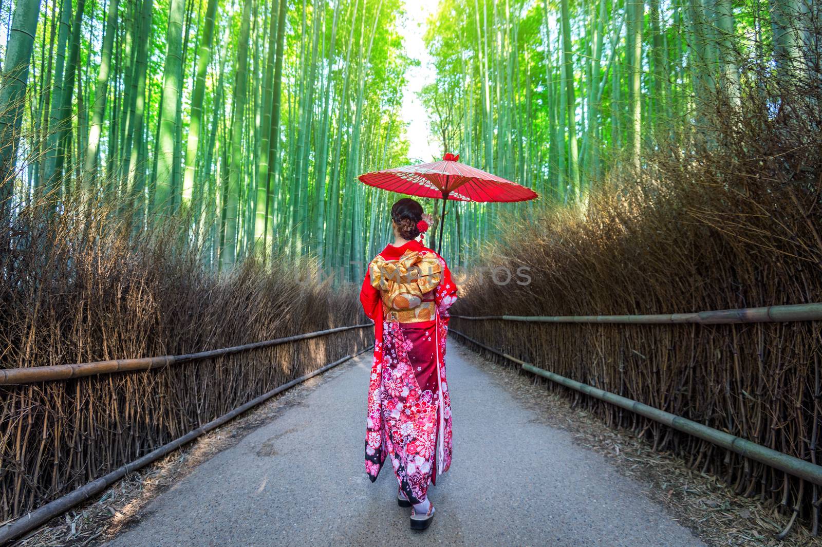 Bamboo Forest. Asian woman wearing japanese traditional kimono at Bamboo Forest in Kyoto, Japan. by gutarphotoghaphy