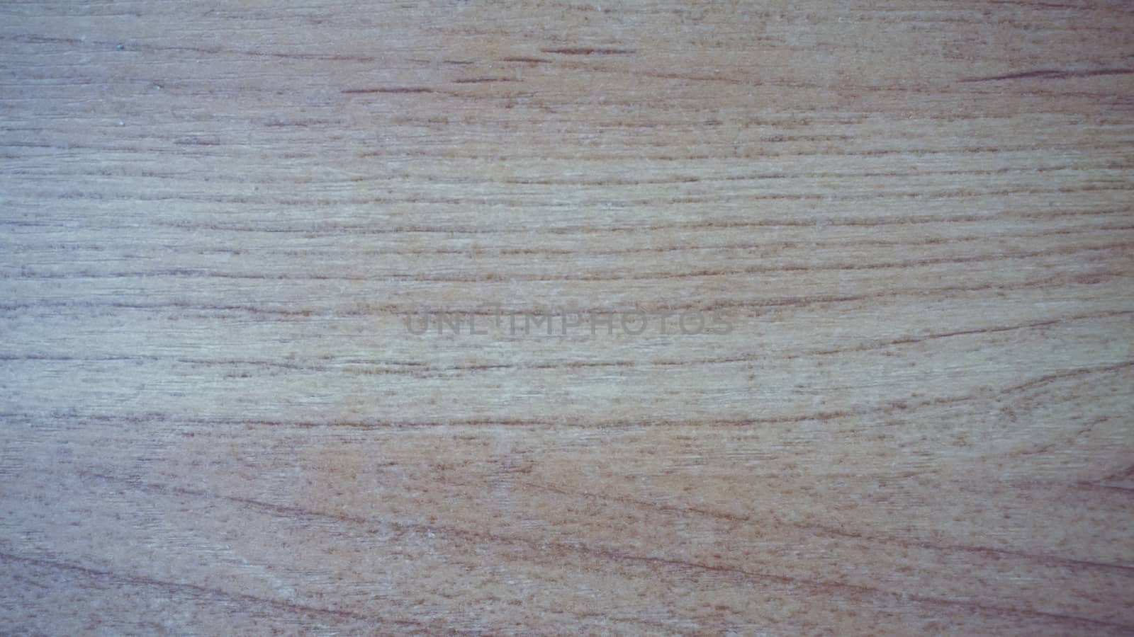 brown wood texture, light wood, macro - photography