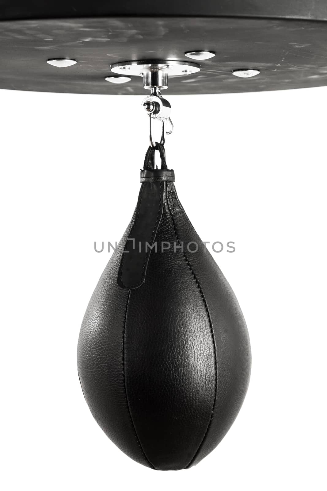 Boxing pear hanging by sveter