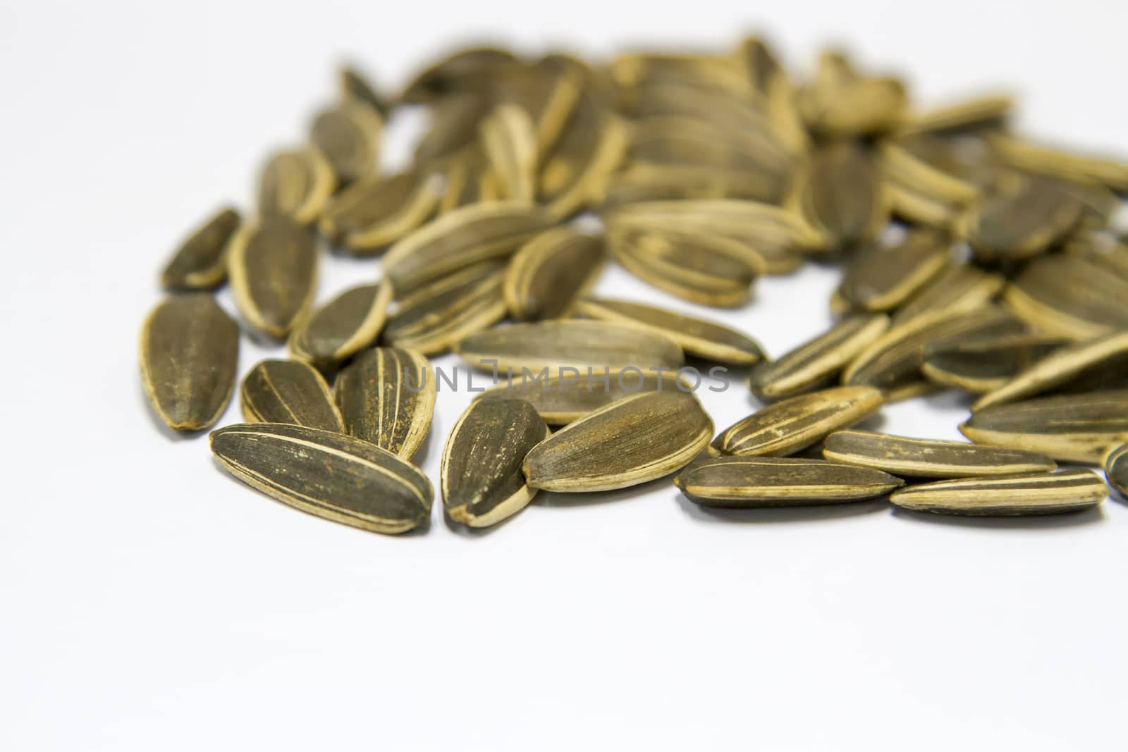 Sunflower seeds on a white background