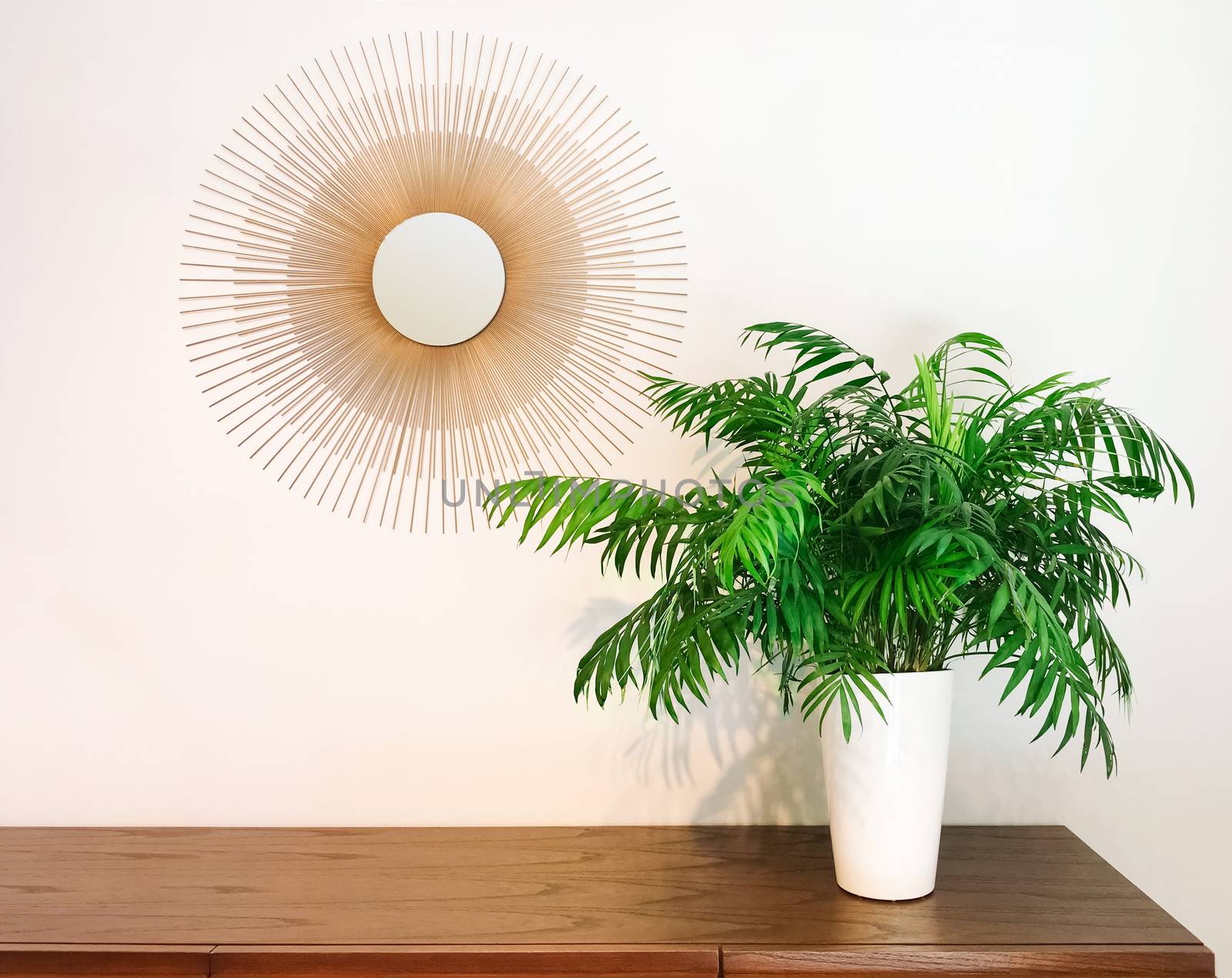 Decorative round mirror and parlor palm plant on a dresser. Modern home decor.