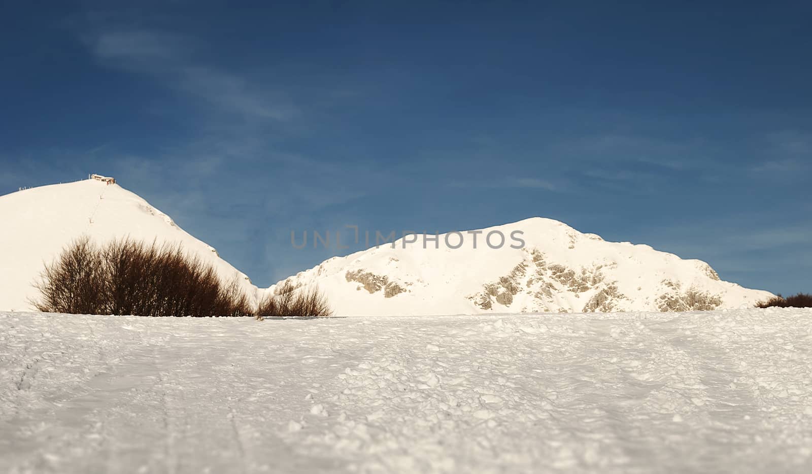 field covered with snow with a mountain in the background