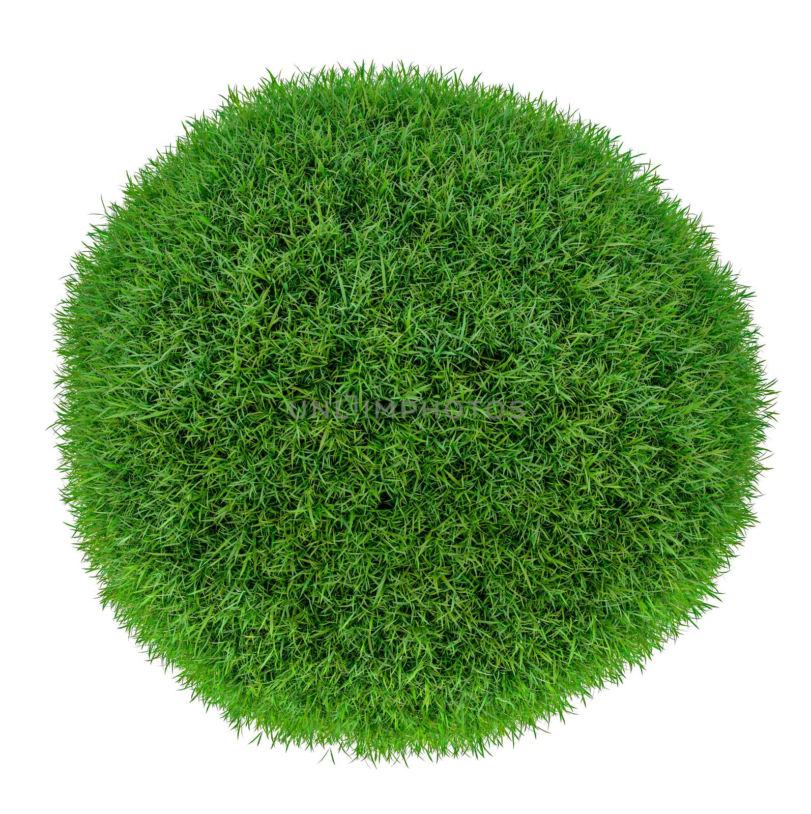 Green grass ball. Isolated on white. 3D illustration
