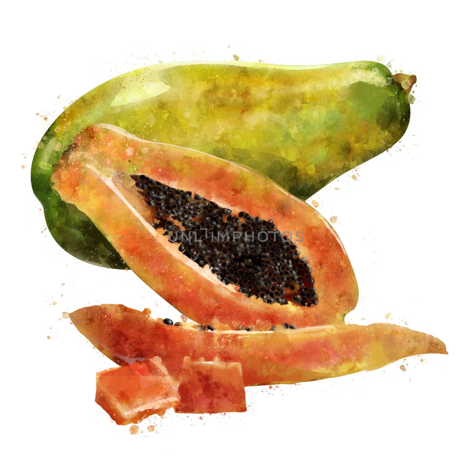 Papaya, isolated hand-painted illustration on a white background