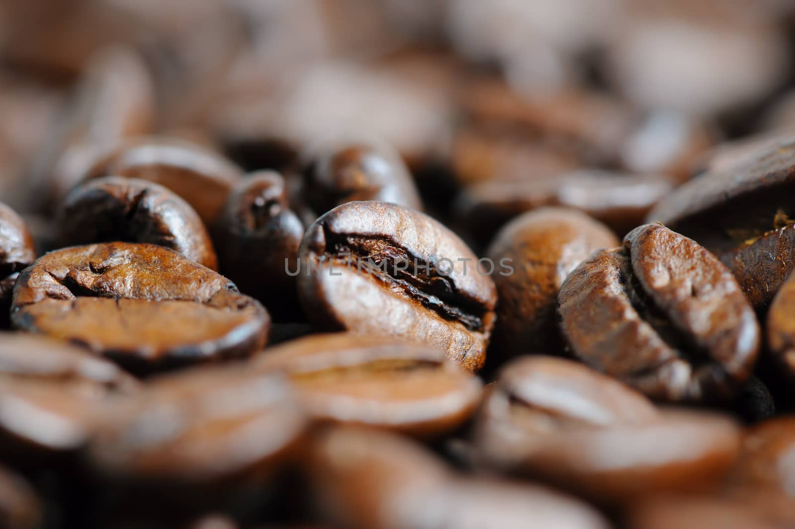 roasted coffee beans macro background, selective focus