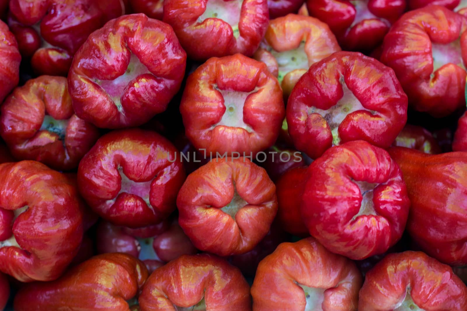 Rose Apple, The Most Popular Fruit In Thailand And Asia