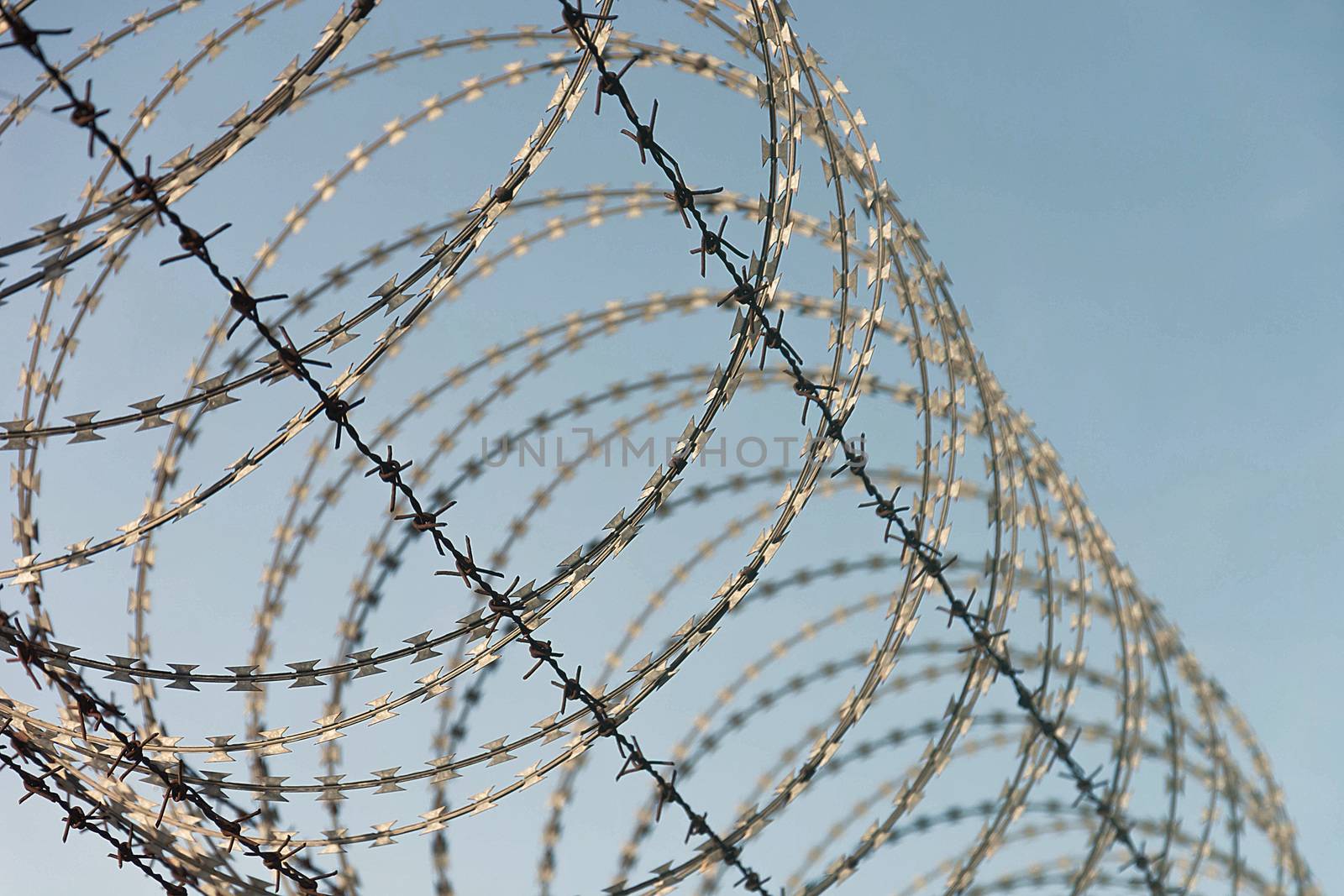 Barbed Wire Fence Used For Protection Purposes Of Property And Imprisonment, No Freedom, Barbed Wire On fence With Blue Sky To Feel Worrying.