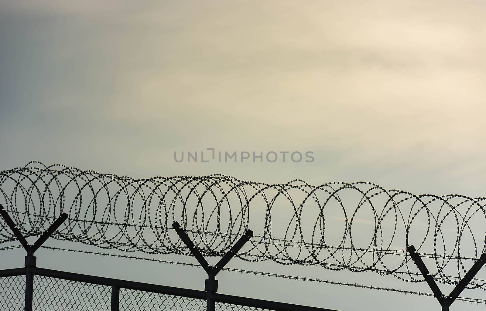 Barbed Wire Fence Used For Protection Purposes Of Property And I by rakoptonLPN