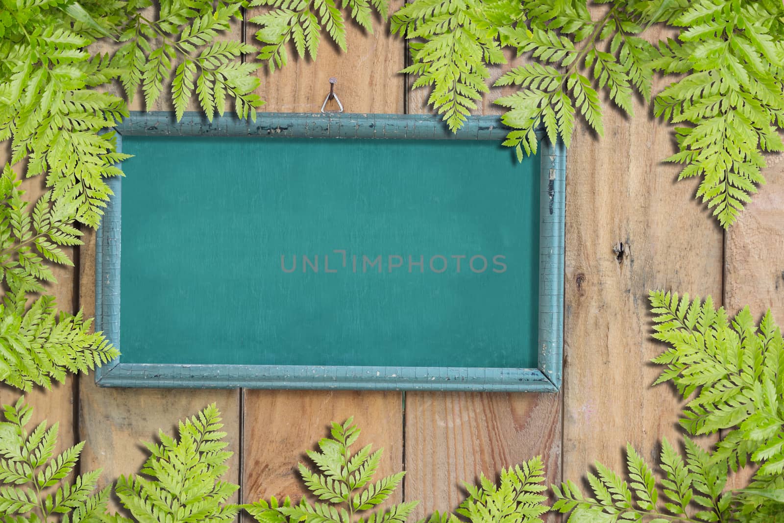 Green Leaves On Old Vintage Wooden Photo Frame On Wooden Wall