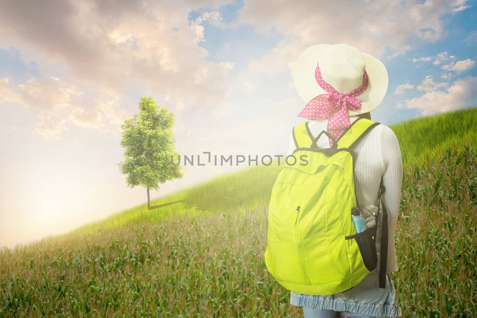 Woman Traveler With Backpack Enjoy View At Mountain, Traveling Along Mountain, Freedom And Lifestyle Concept