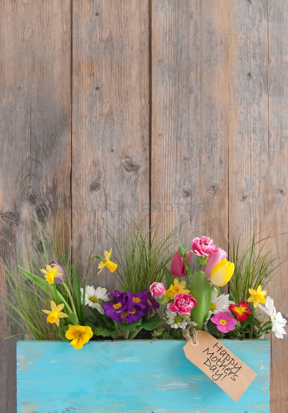 Mothers day gift label attached to a selection of spring flowers inside a wooden plant holder 