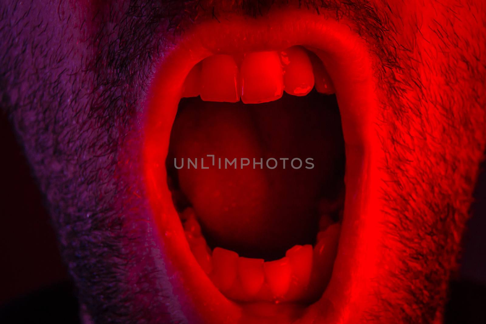 Macro closeup on man shouting with mouth wide open. Portrait with angry facial expression.