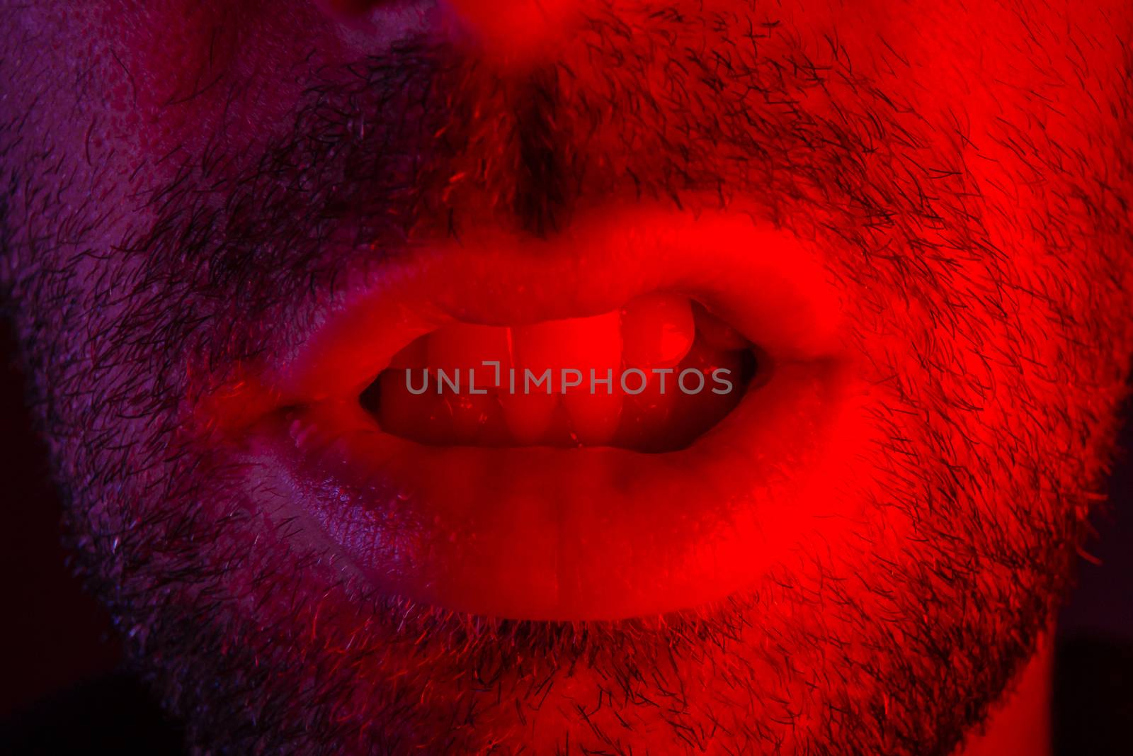 Man with angry facial expression. Macro close up portrait of a man with bared teeth.